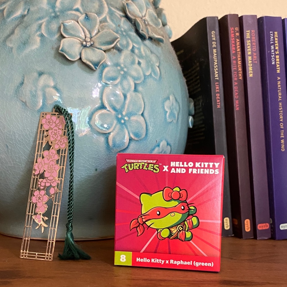 Hello Kitty & Friends x Teenage Mutant Ninja Turtles: Hello Kitty & Raphael #8